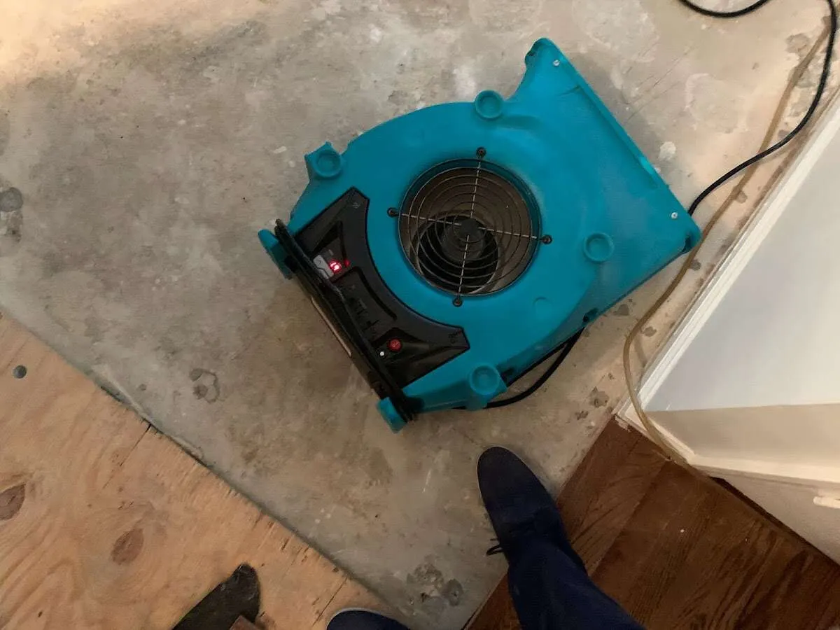 Air mover drying subfloor during Leak Detection & Repair in Norfolk